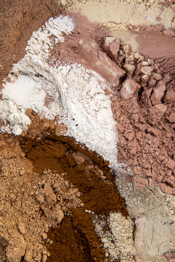 Mushroom Hot Chocolate - Powdered Blend