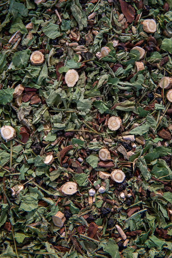 Pine Needle Tea - Loose Leaf Close Up