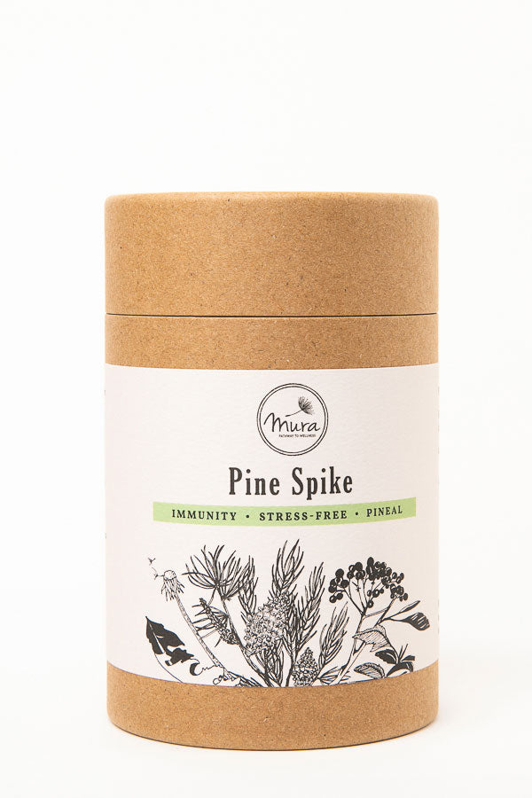 Pine Needle Tea - Loose Leaf in Packaging